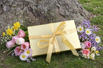 Spring Joy edition (limited spring box only , preorder today)