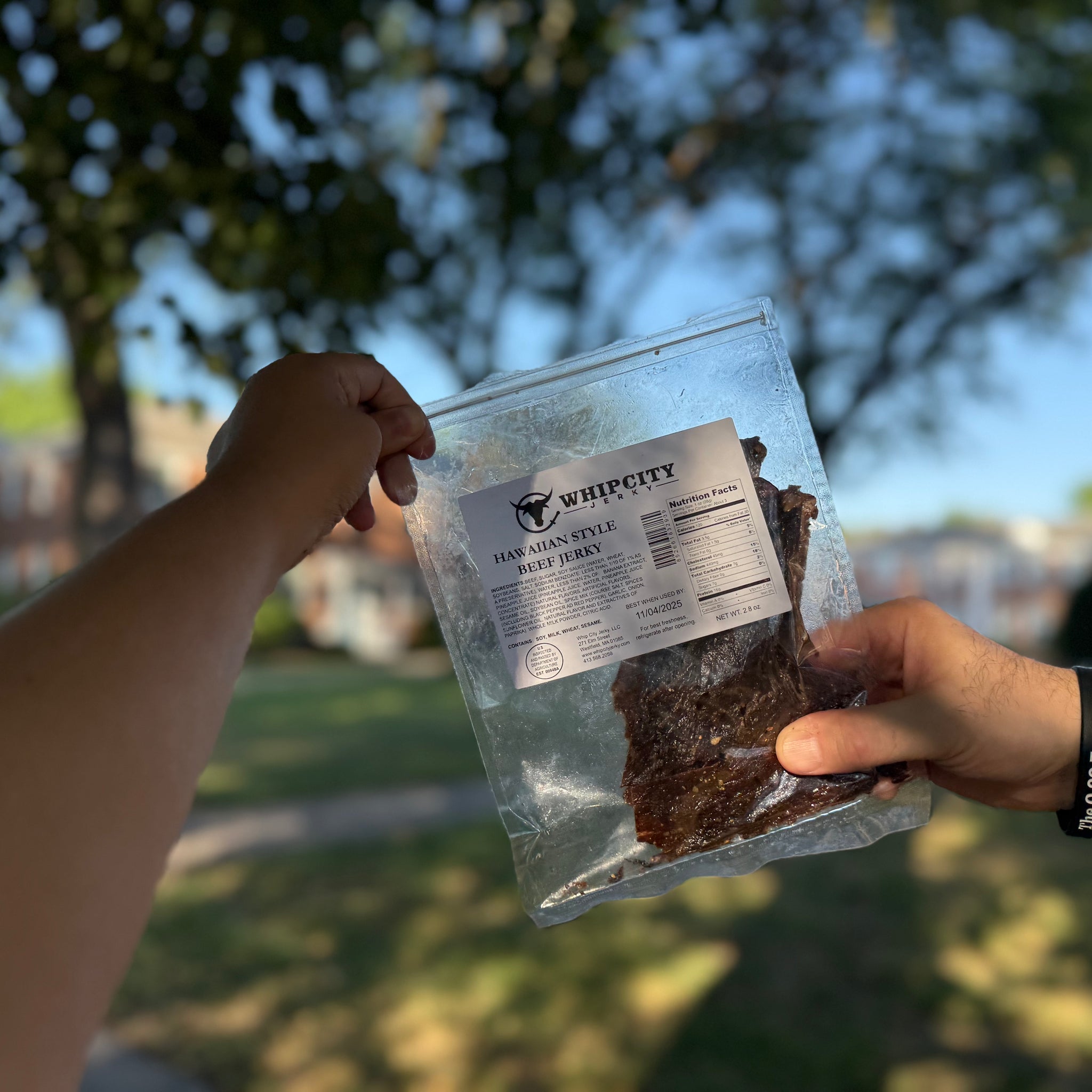 Hawaiian jerky (whip city)