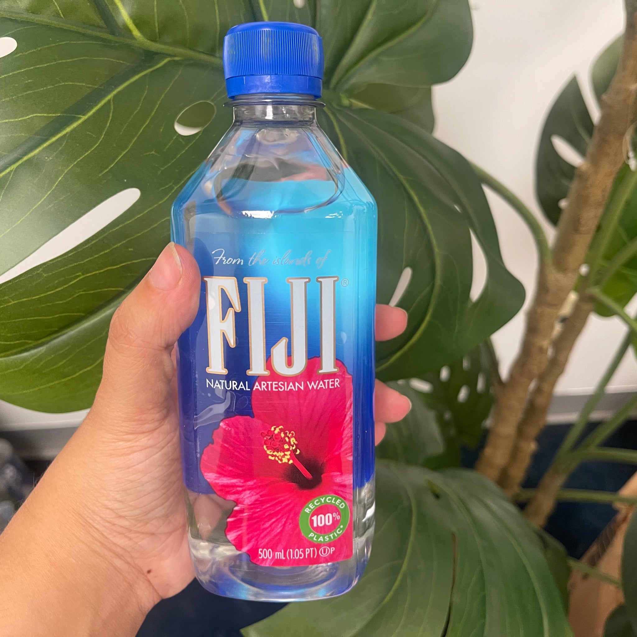 Fiji natural artesian water